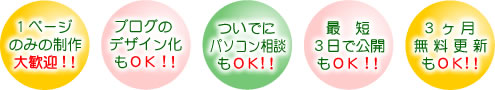 1ページのみの制作大歓迎!ブログのデザイン化もOK!ついでにパソコンの相談もOK!最短3日で公開もOK!3ヶ月無料更新もOK!